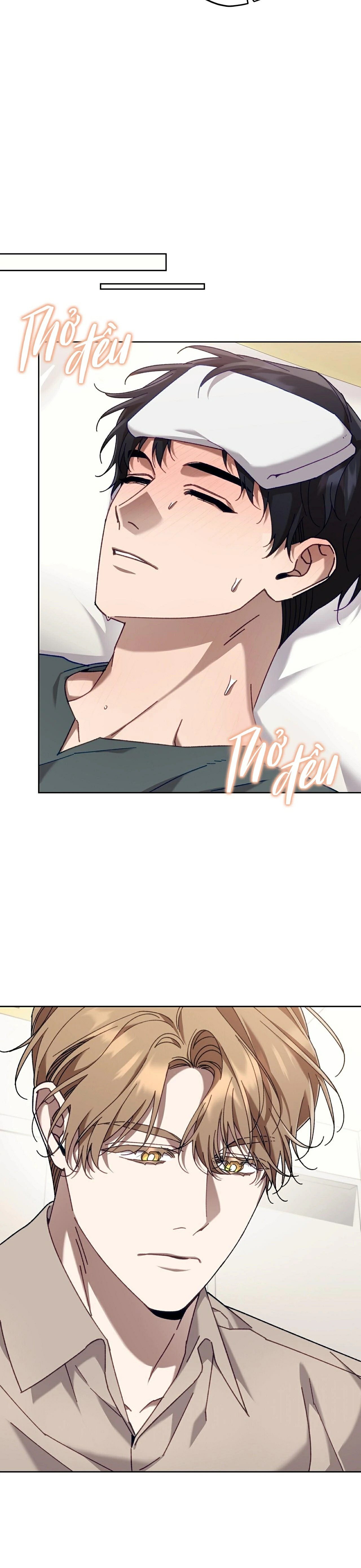 guide cấp s phết mật ong chapter 40 21