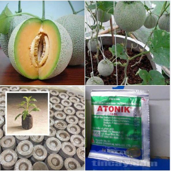 Bộ Sản Phẩm Gồm:
