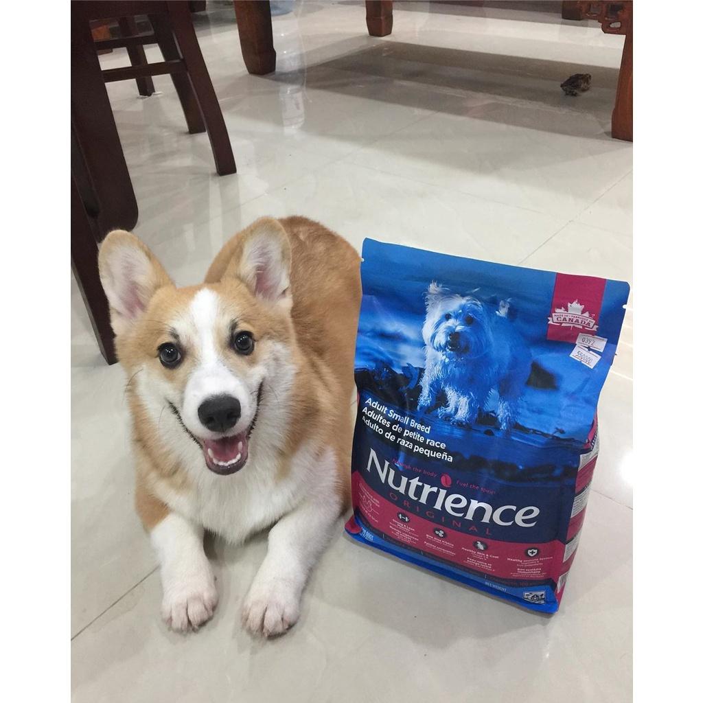 Thức Ăn Cho Chó Chihuahua Nutrience Original Bao 2,5kg Dầu Cá Hồi, Da Lông Bóng Mượt - Thịt Gà, Rau Củ Quả, Trái Cây