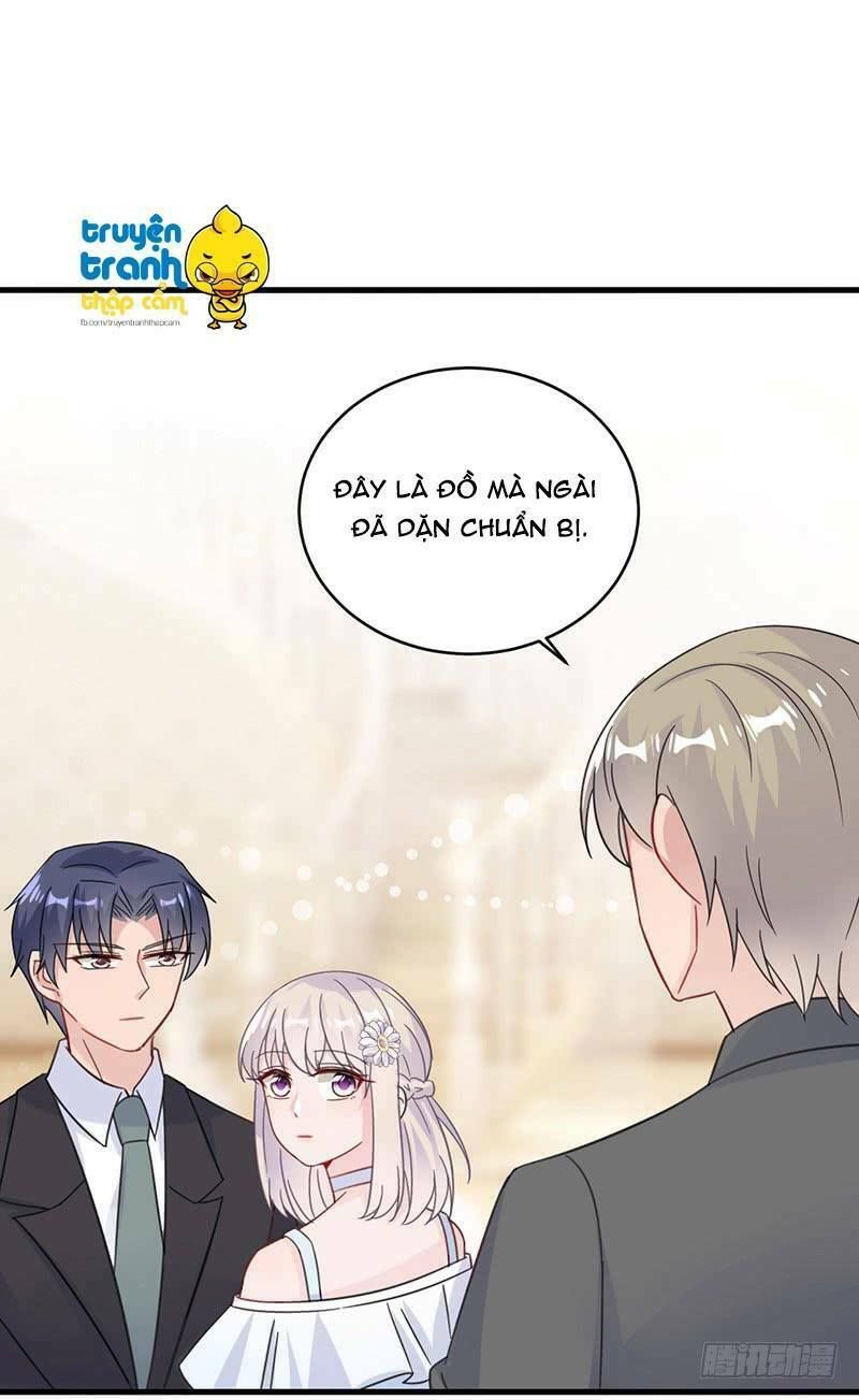 chọc tới chủ tịch tổng tài 2 chapter 20 23