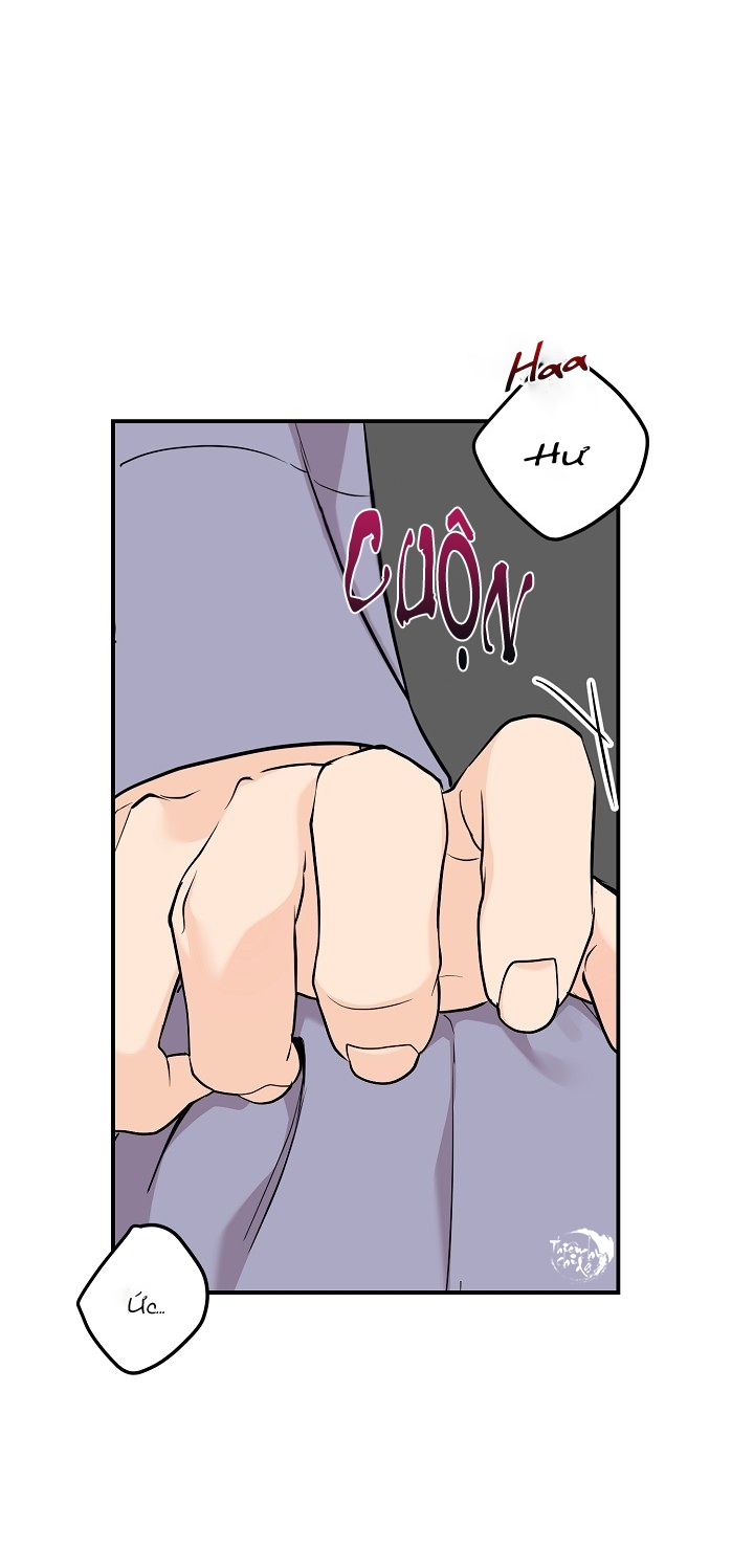 hoa ly hổ chapter 31 42