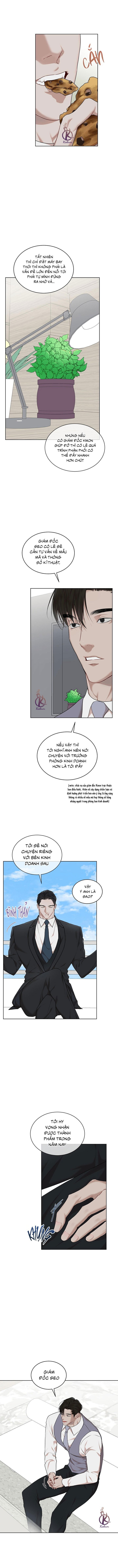 hình thái khởi sinh chapter 79 4