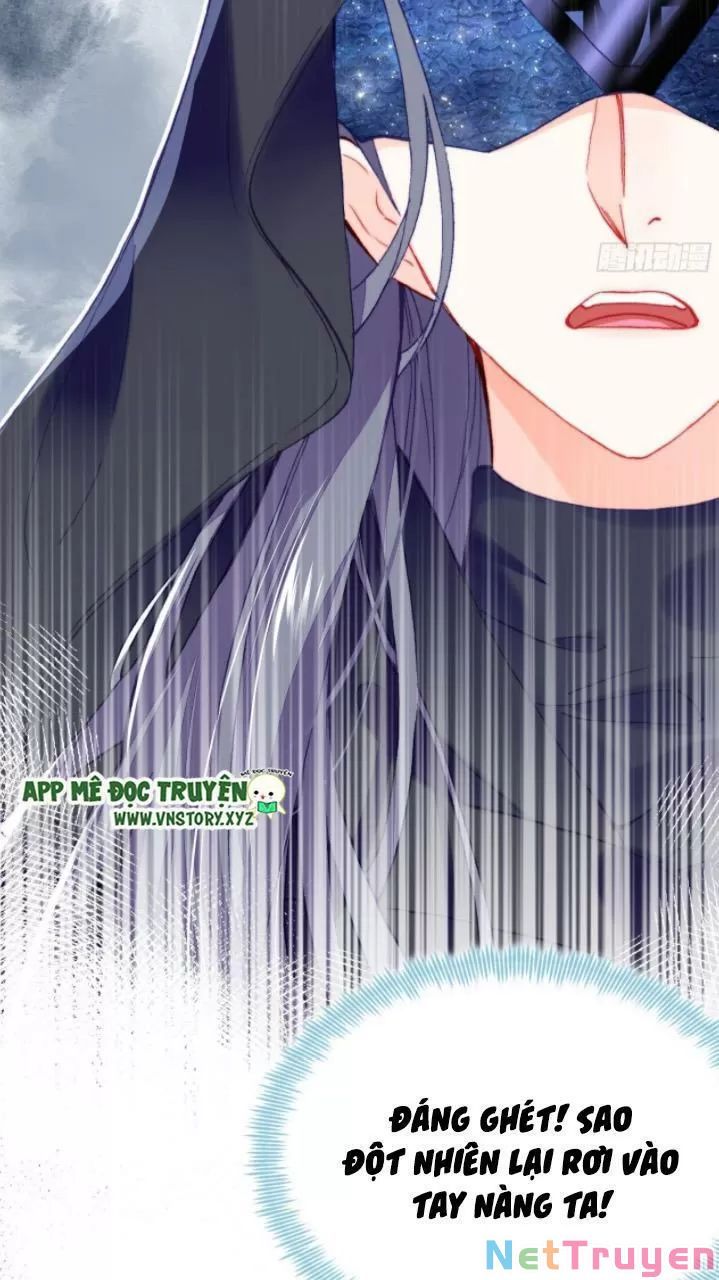 lại bị bệnh chiều chuộng quấn lấy chapter 23 59