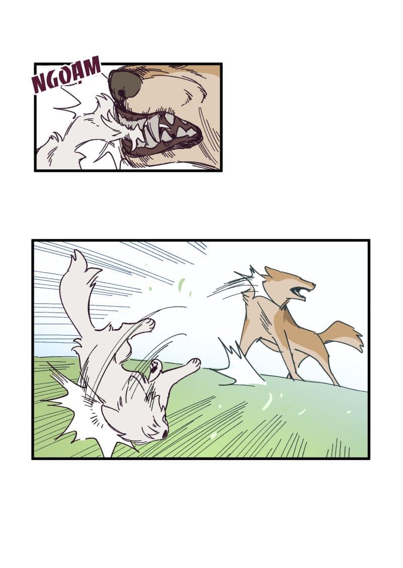 lumine - cội nguồn ánh sáng chapter 134 19