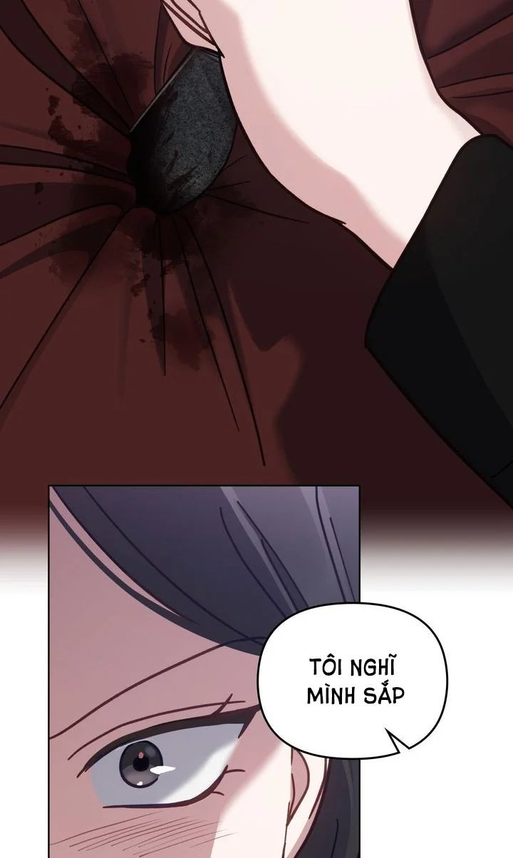 kẻ nghiệp dư chapter 12.5 37