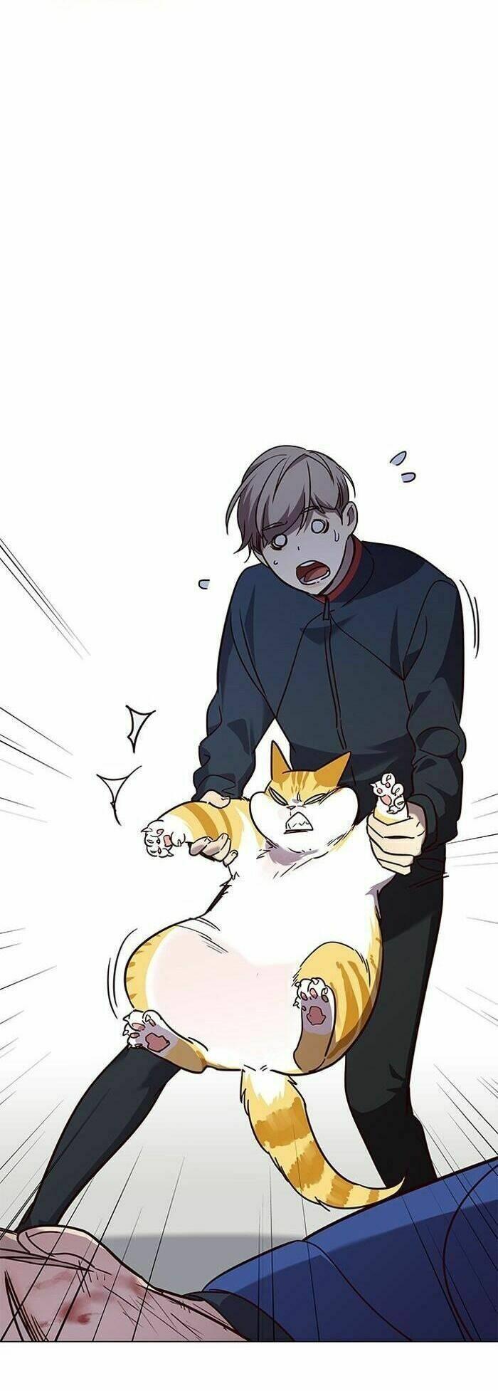 biến thân thành mèo chapter 89 57