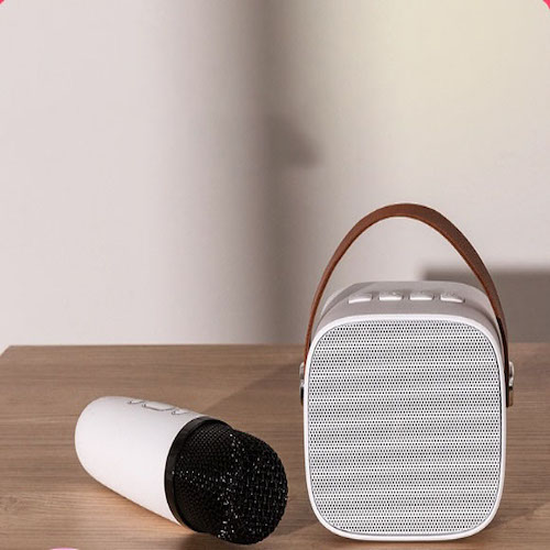 Bộ Micro bluetooth hỗ trợ giảng dạy Karaoke Mini Ngoài Trời KTV Cardioid