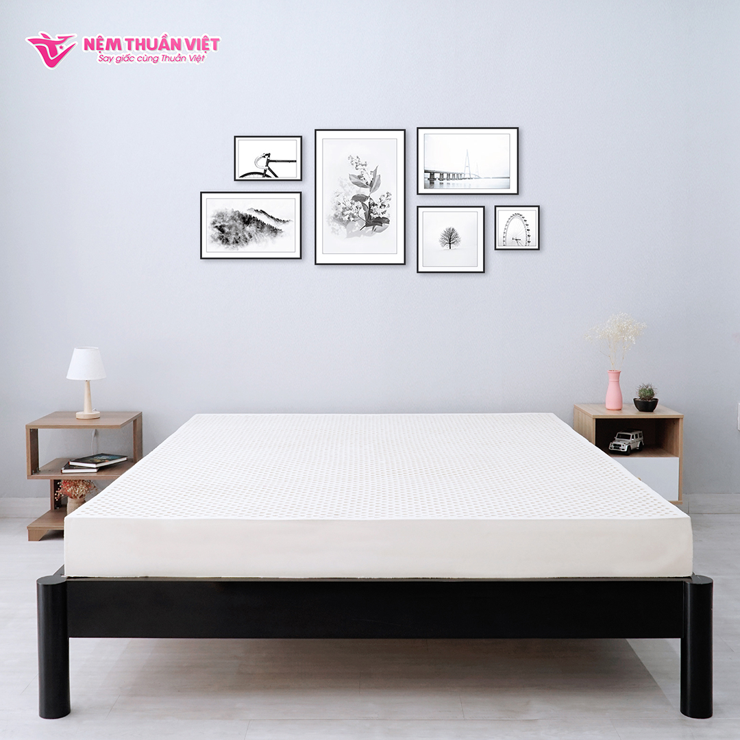 Nệm Cao Su Thuần Việt Legacy Định Hình, Nâng Đỡ Cơ Thể Vượt Trội