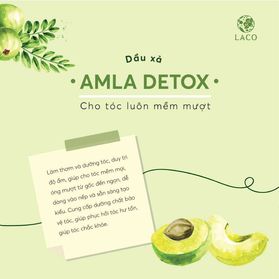 Dầu Xả Amla Detox Suôn Mềm Phục Hồi Hư Tồn Và Nuôi Dưỡng Tóc