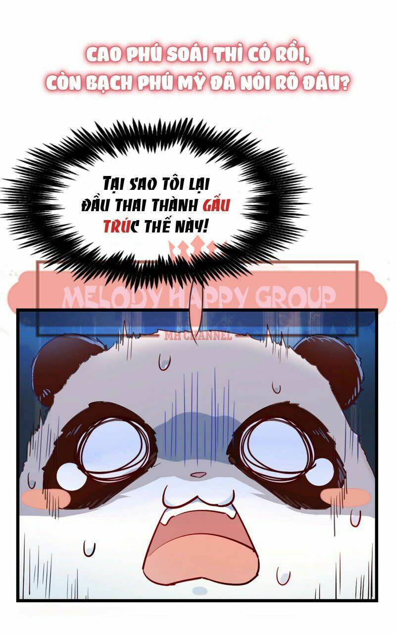 thiên thần gấu trúc muốn được ôm chapter 0 16