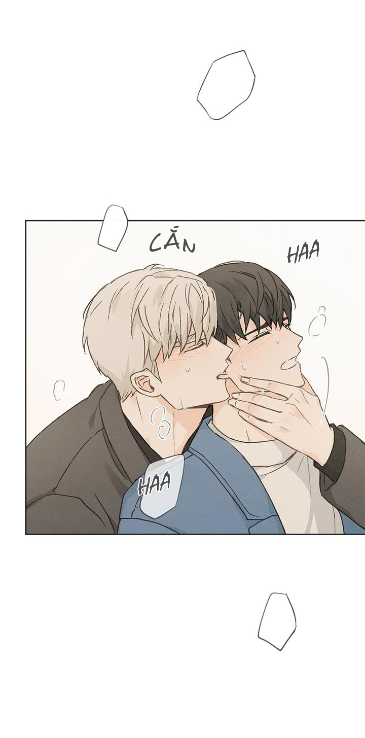 giữa yêu và ghét chapter 50 18