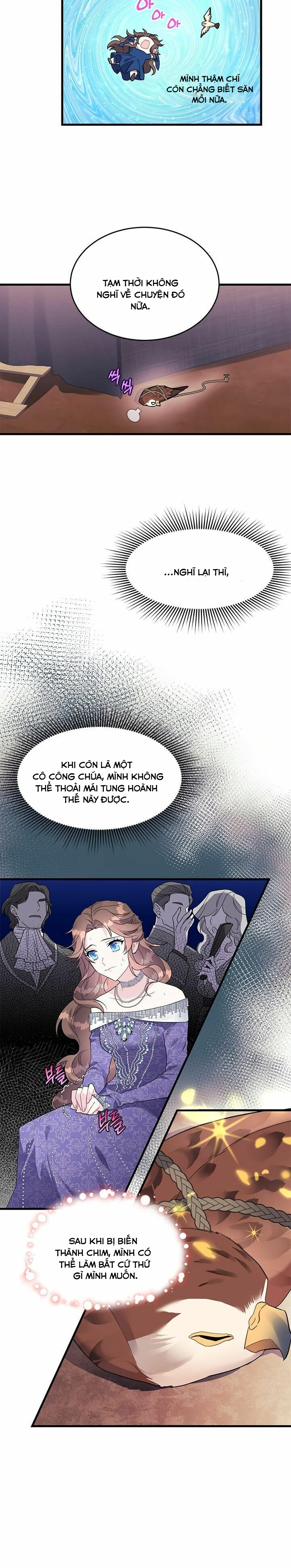 công chúa chim ưng cavier chapter 4 9