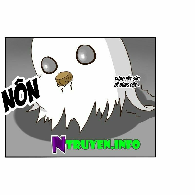 thông linh phi chapter 36 41