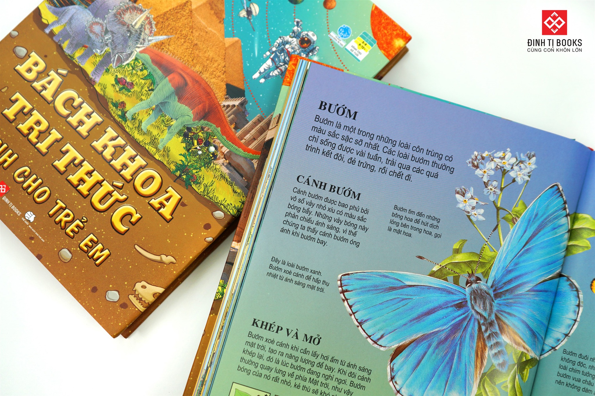 Bách khoa tri thức dành cho trẻ em - Đinh Tị Books