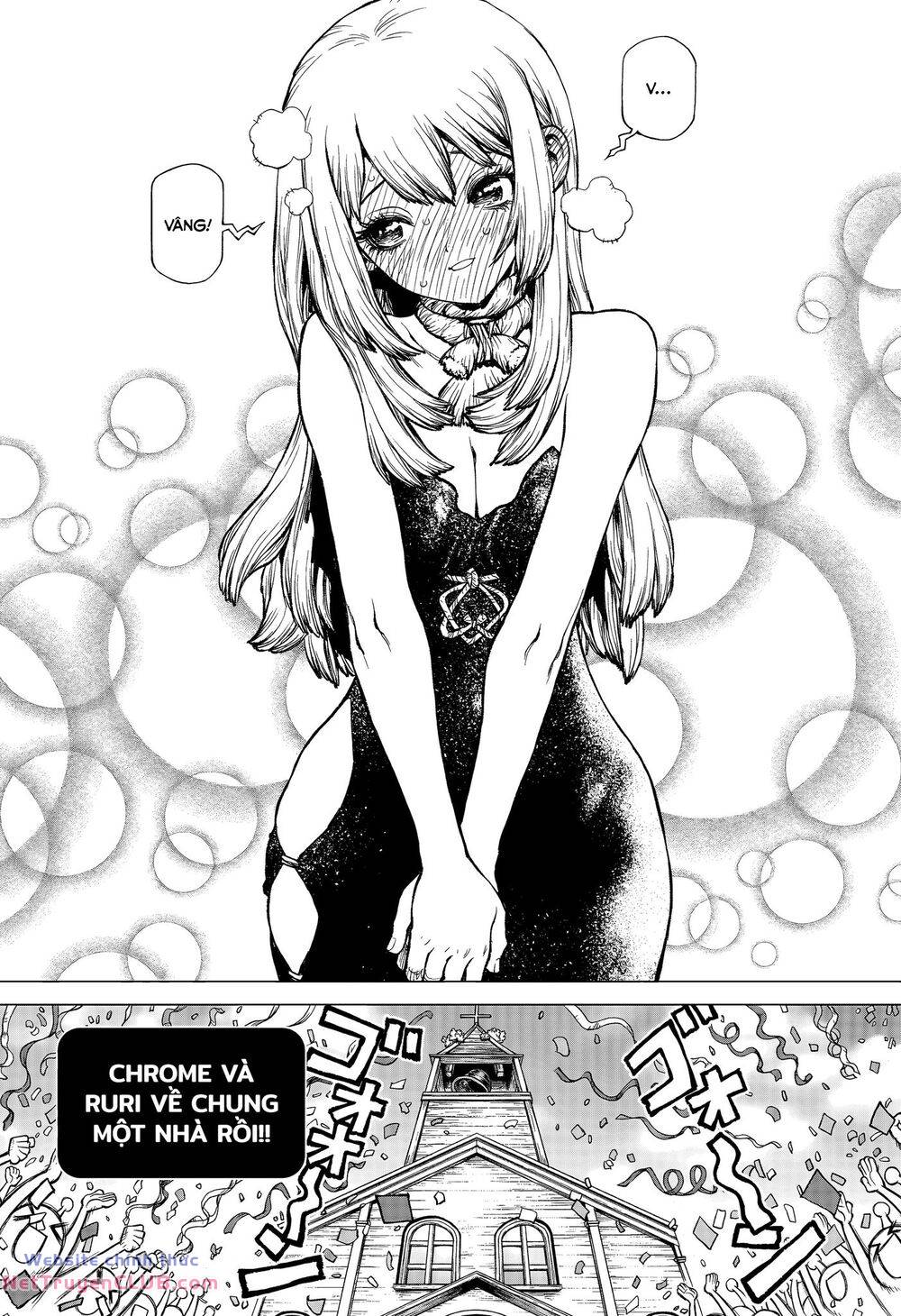 dr.stone - hồi sinh thế giới chapter 232.7 27