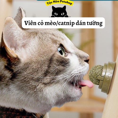 Viên cỏ mèo/Catnip dán tường- Giúp mèo thư giãn