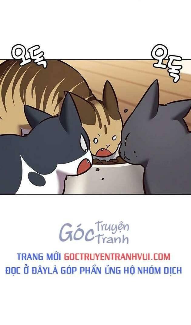 biến thân thành mèo chapter 269 41