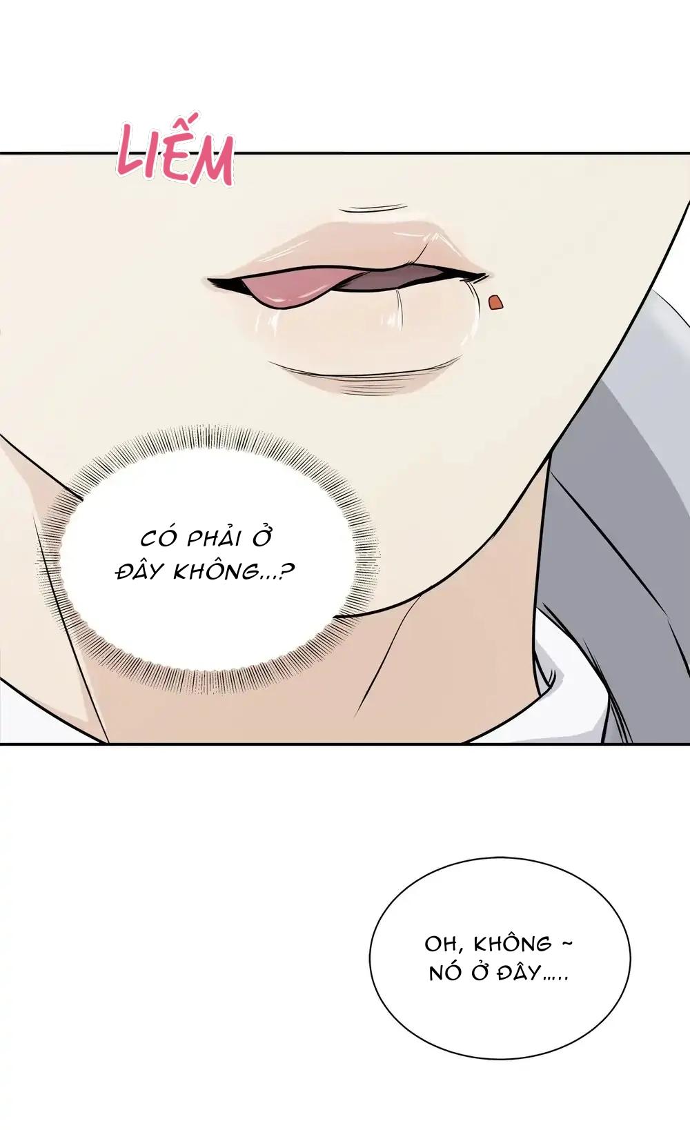 hạnh phúc trọn vẹn chapter 2 16