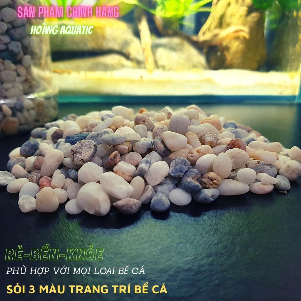 Sỏi 3 Màu Trang Trí Bể Cá, Tiểu Cảnh, Giá Rẻ (100G)