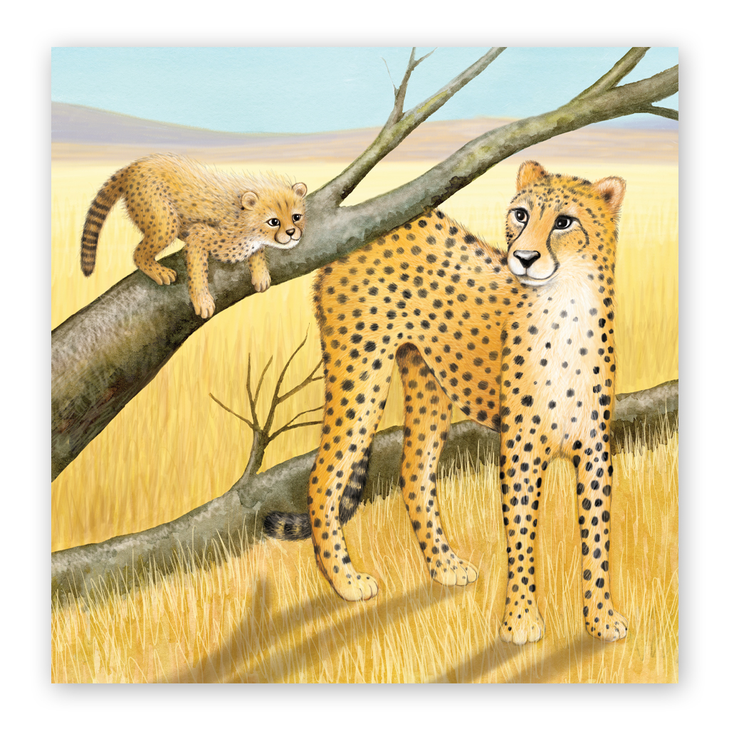 Sách - Vì Sao Con Trai Cần Bố - Tác giả Gregory E. Lang - Sách tranh