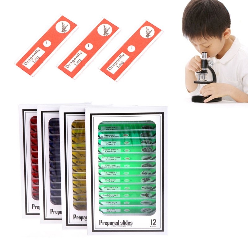 Bộ 12 tiểu bản mẫu vật của động thực vật dùng trên kính hiển vi - Hàng Chính Hãng