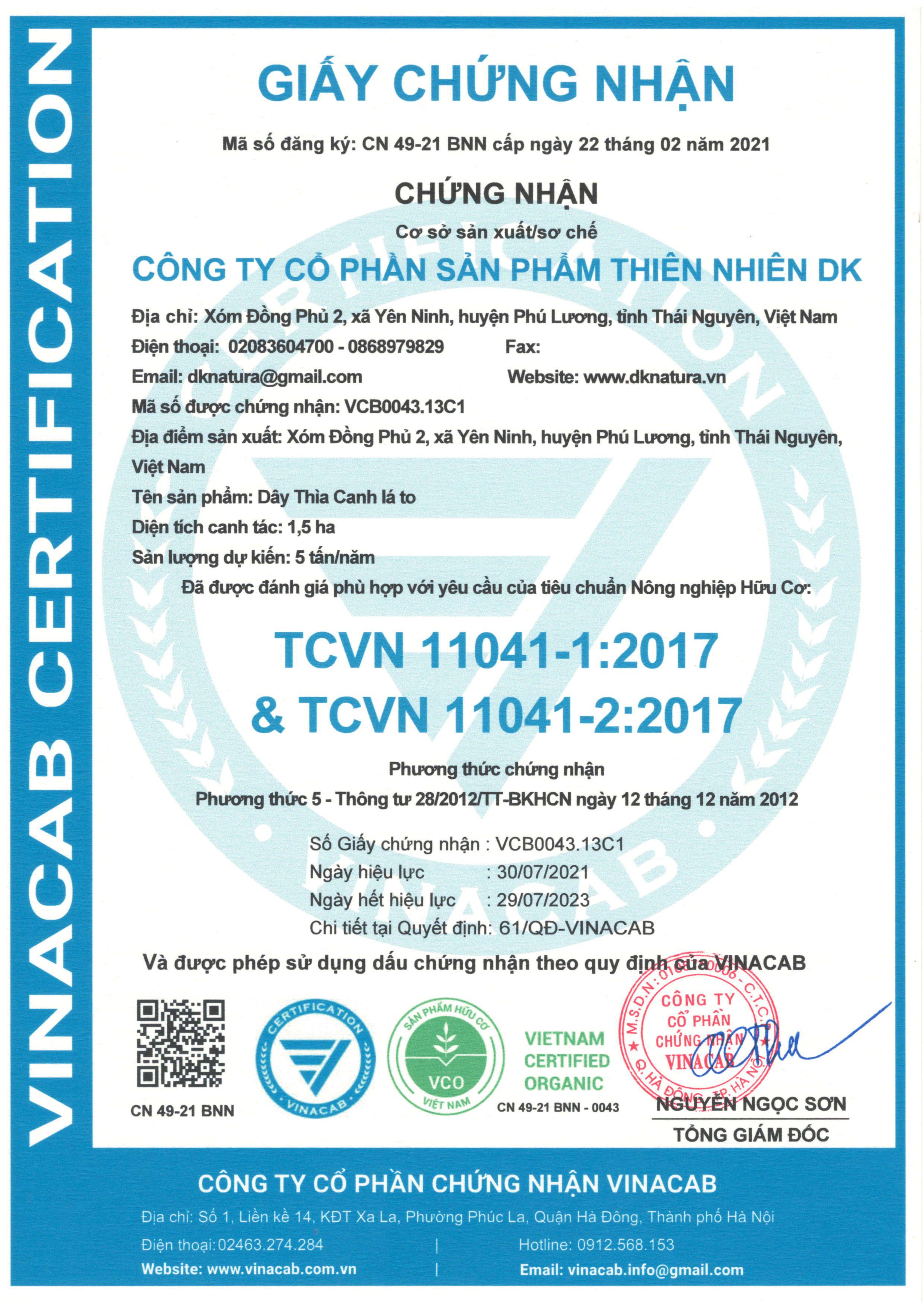 Dây thìa canh DK - Từ Dây thìa canh lá to