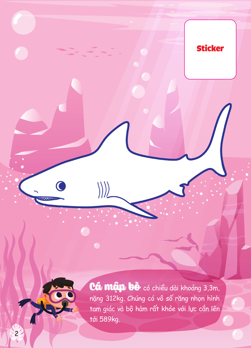 Con Tô Màu - Thám Hiểm Amazon _MEGA