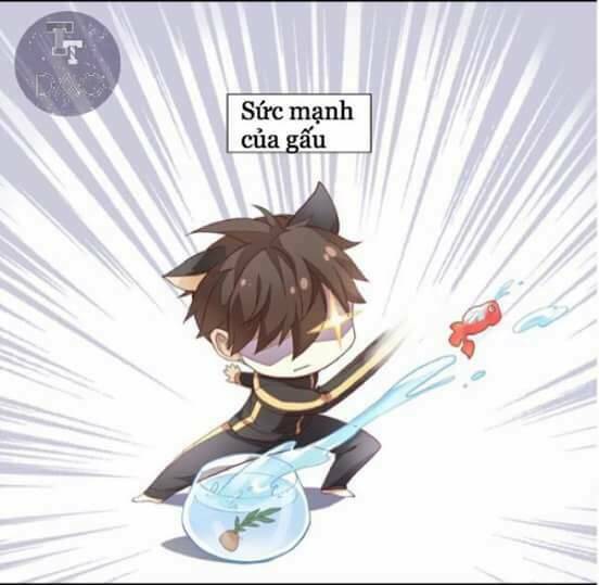 dưới móng vuốt mèo chapter 2 4