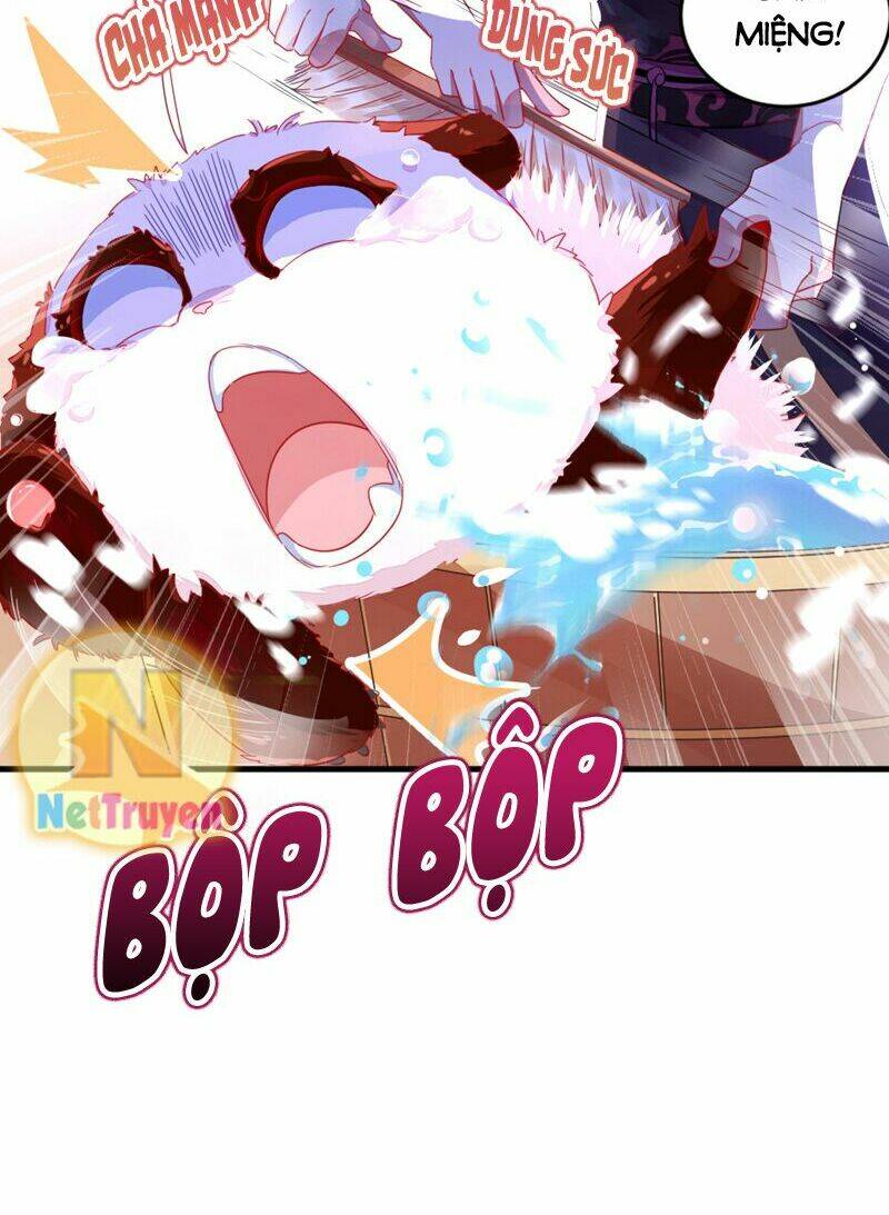 thiên thần gấu trúc muốn được ôm chapter 13 13