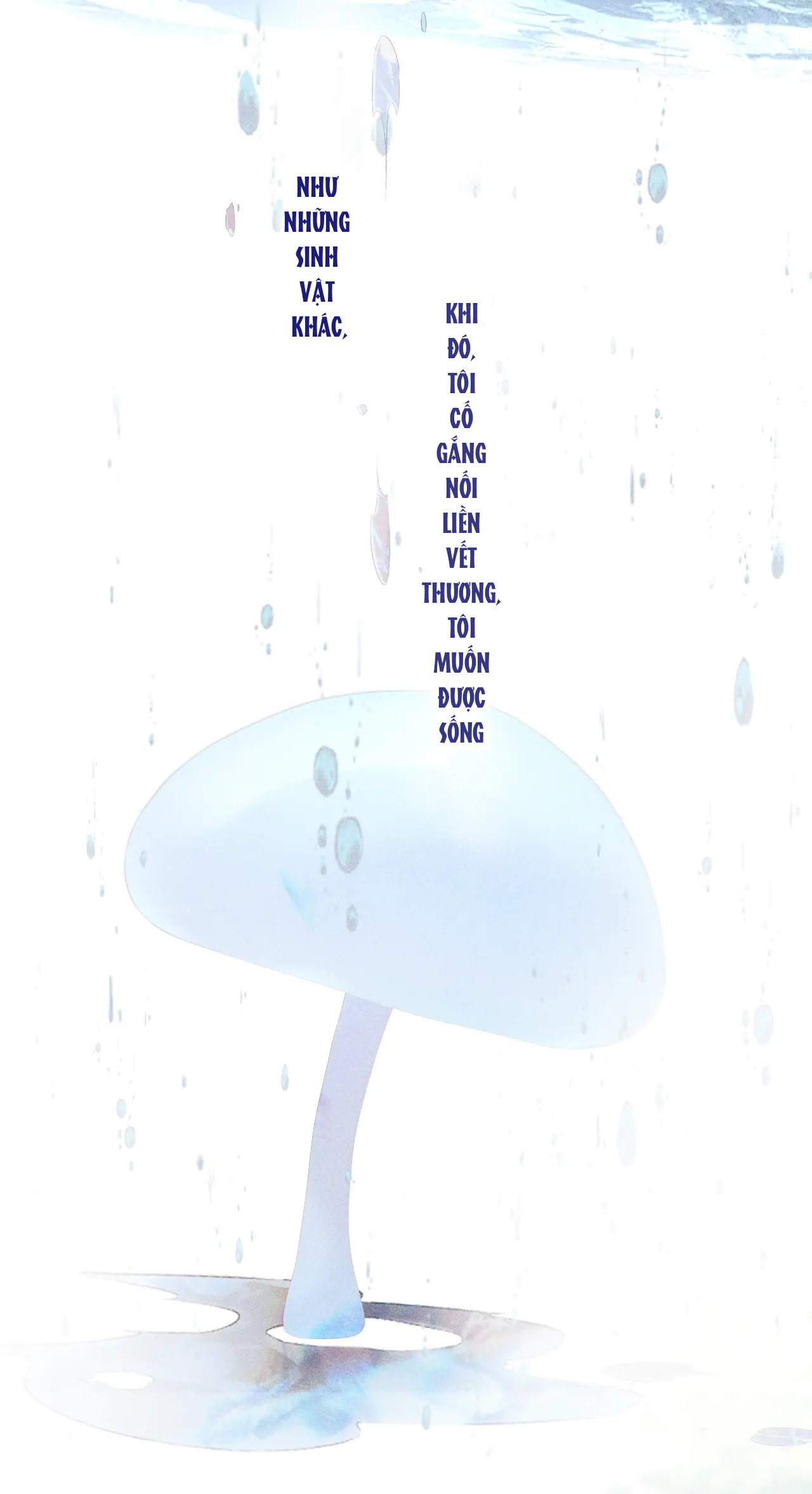 cây nấm nhỏ chapter 10 14