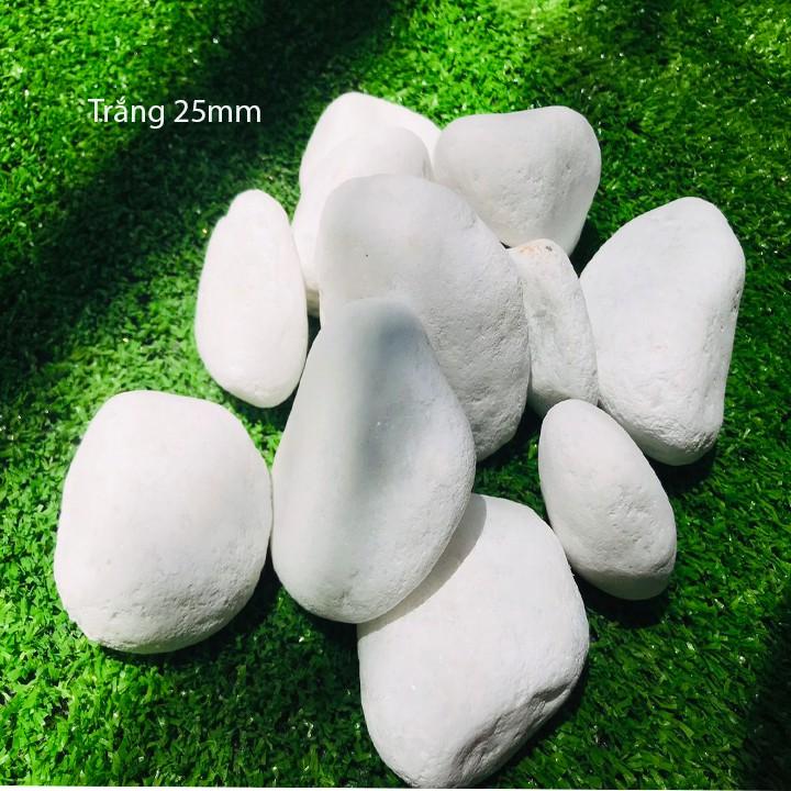1kg sỏi bể cá - sỏi hồ cá
