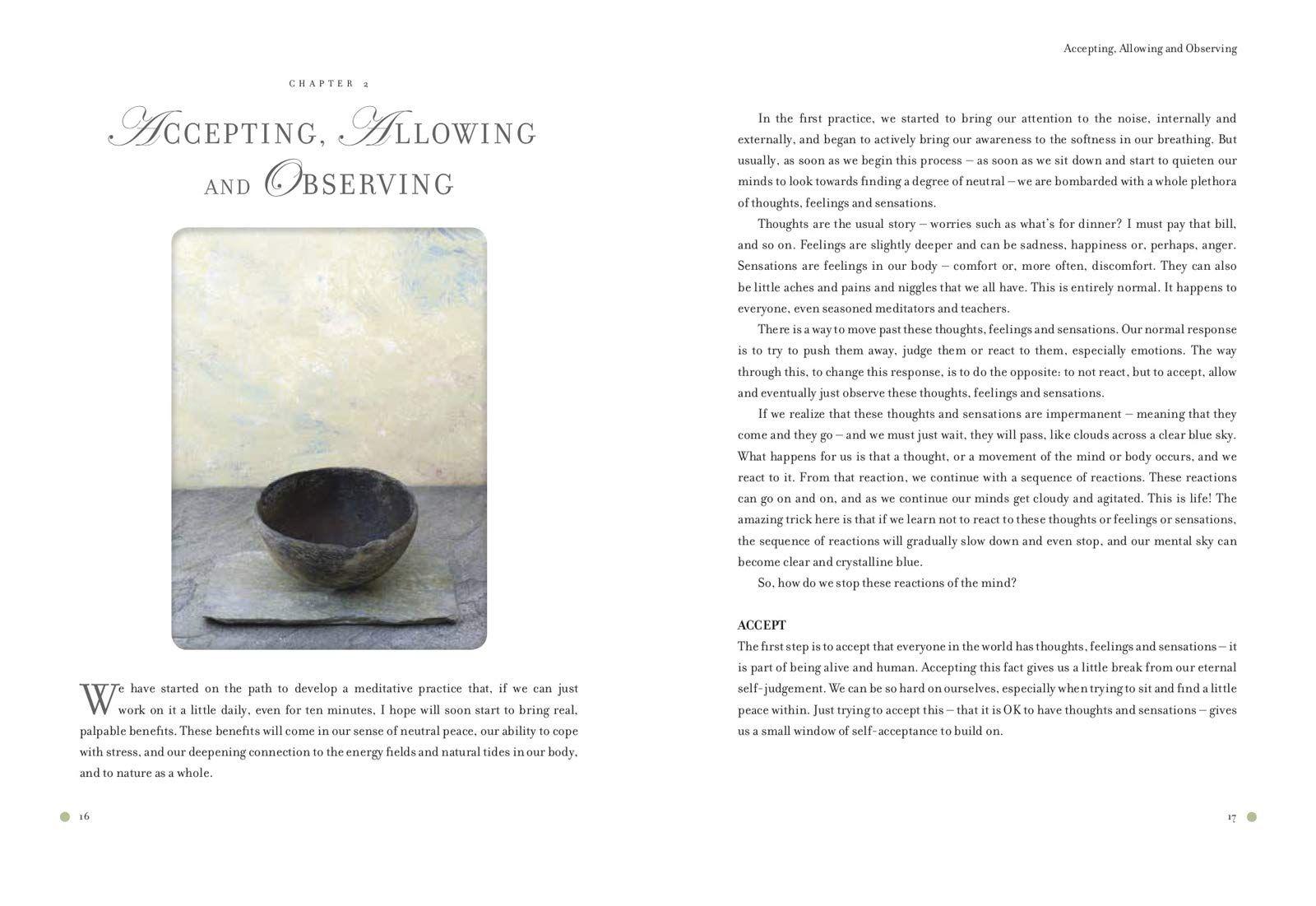 Sách - Dynamics of Stillness : Develop Your Senses and Reconnect with Nature Throu by Ian Wright