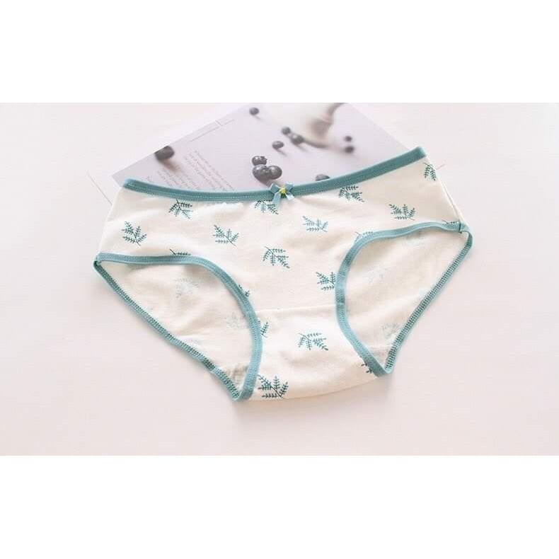 QUẦN COTTON HINH CHIẾC LÁ- 5 QUẦN 90K