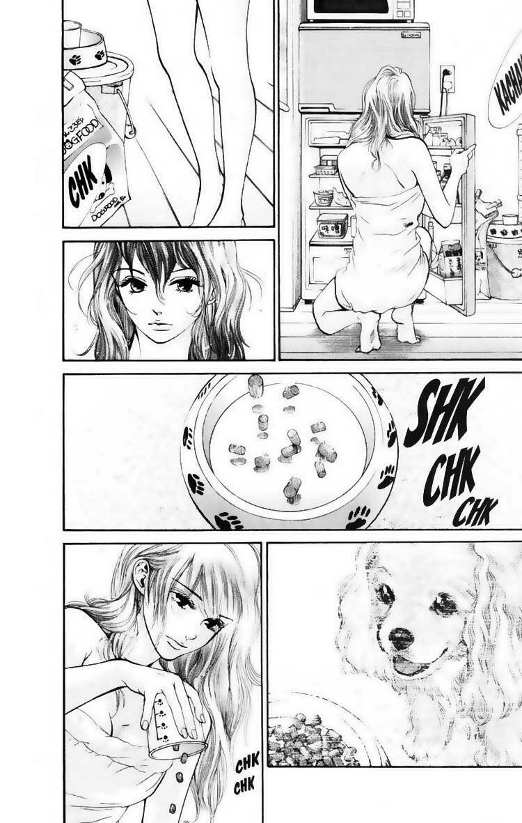 cô nàng yêu chó chapter 16 5