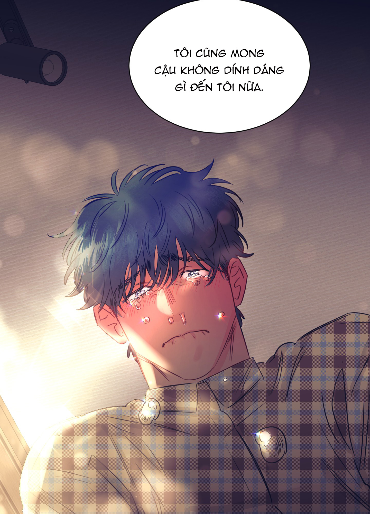 tình yêu lụi tàn chapter 12 46