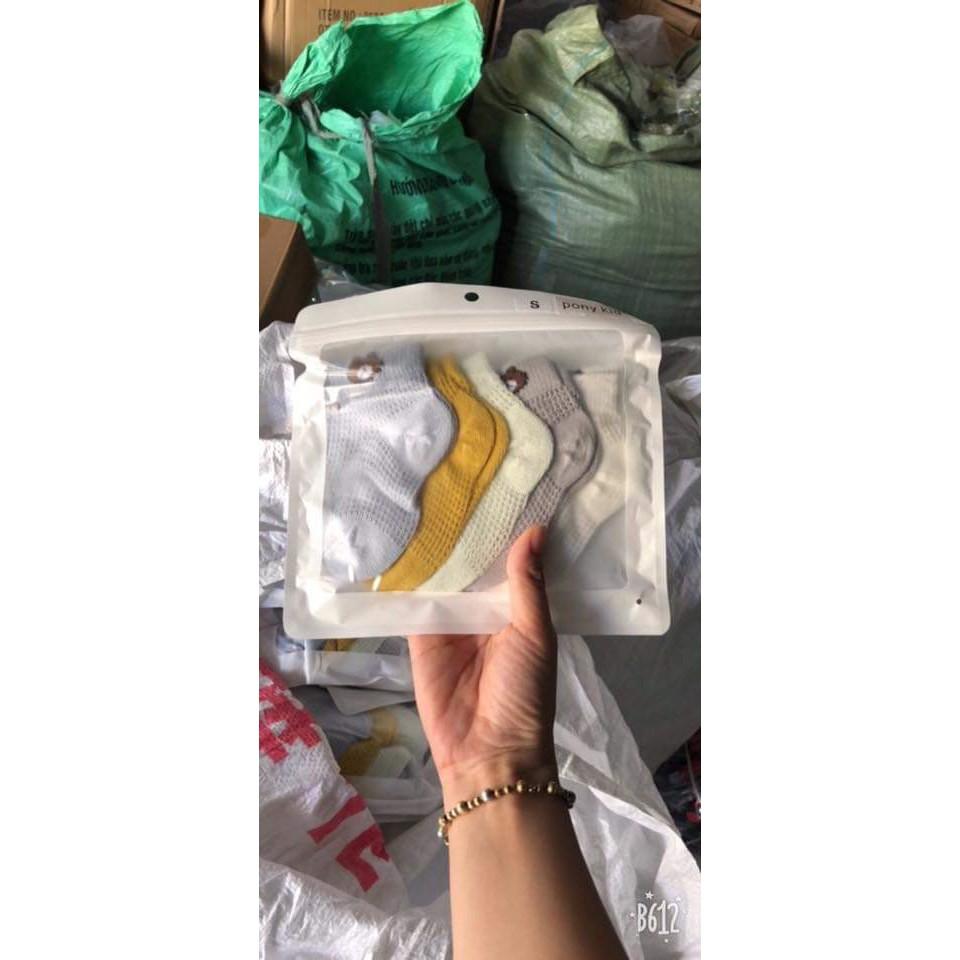 Sét 5 đôi tất lưới hình gấu cho bé