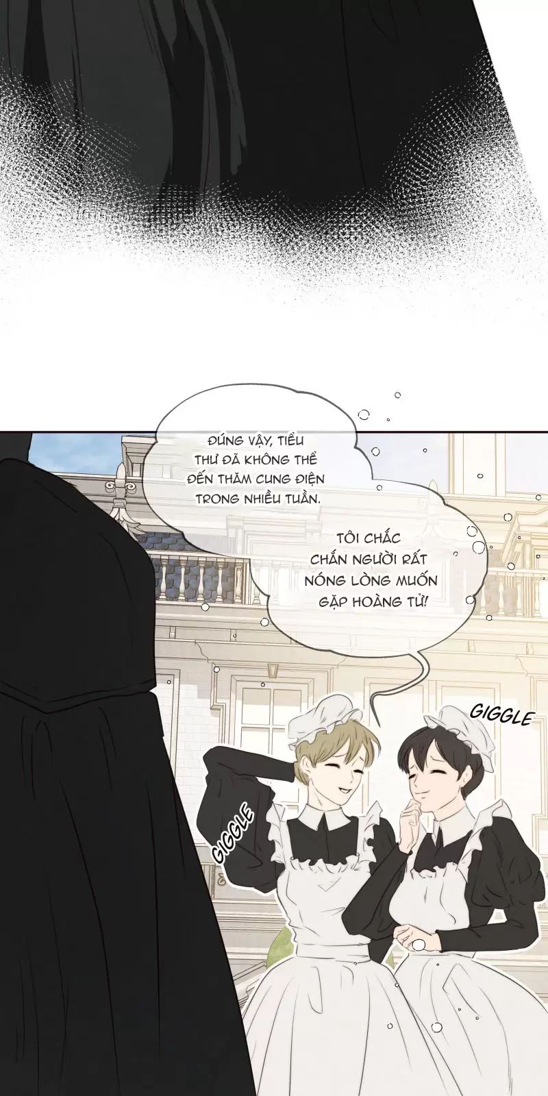 tôi là kẻ phản diện chapter 15 62