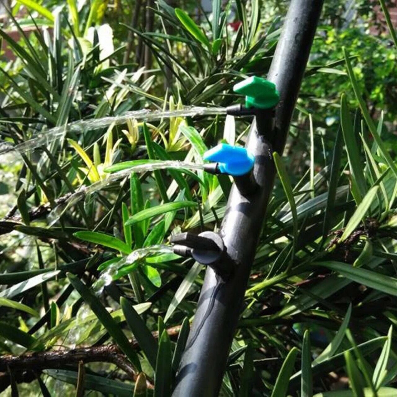 Bộ 50 đầu tưới nhỏ giọt 4l/h 8l/h 16l/h