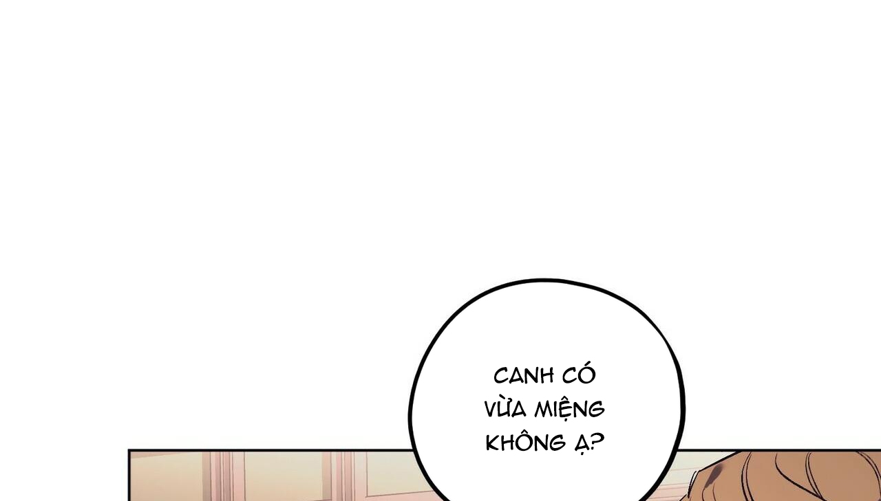 chàng dâu nhà họ kang chapter 17 121