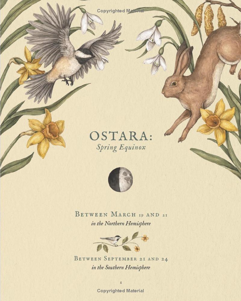 Sách ngoại văn: The Wheel Of The Year - An Illustrated Guide To Nature's Rhythms