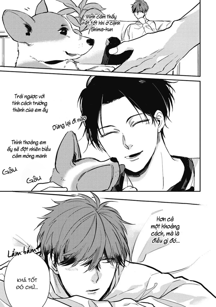 hàng xóm nhà bên chapter 1 21