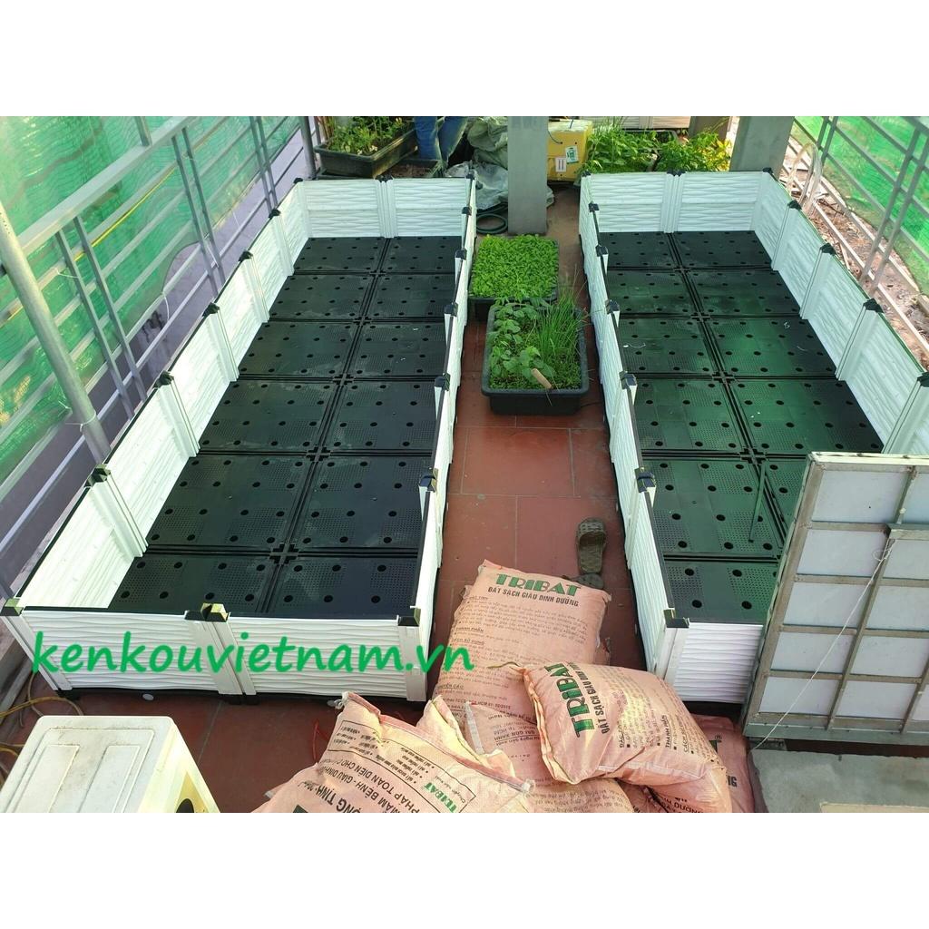 Chậu ghép thông minh 200 x 100 Việt Nam, chậu trồng rau, hoa, cây cảnh