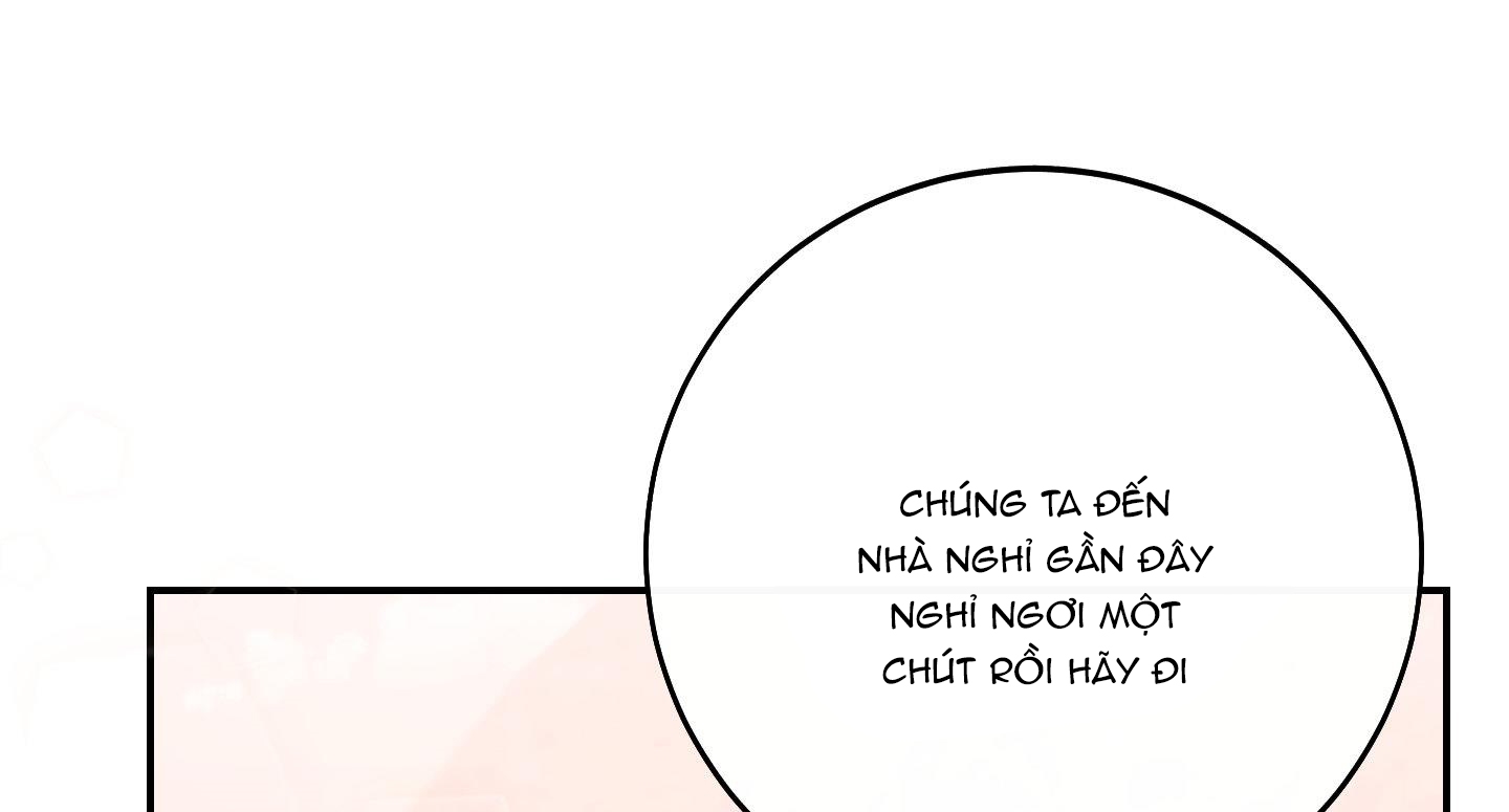 lãng mạn giả dối chapter 16 257