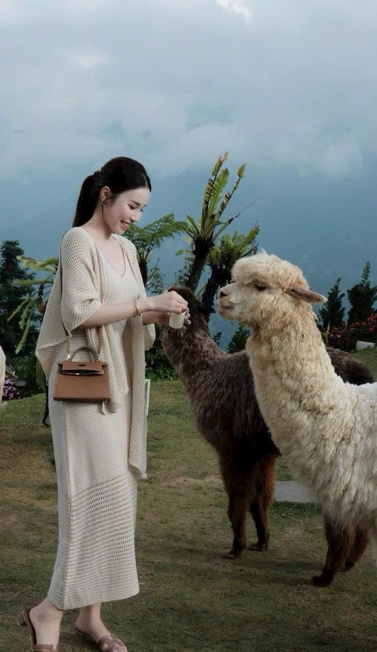 Set váy len lưới dài kèm khoác- Set váy len bầu sang chảnh