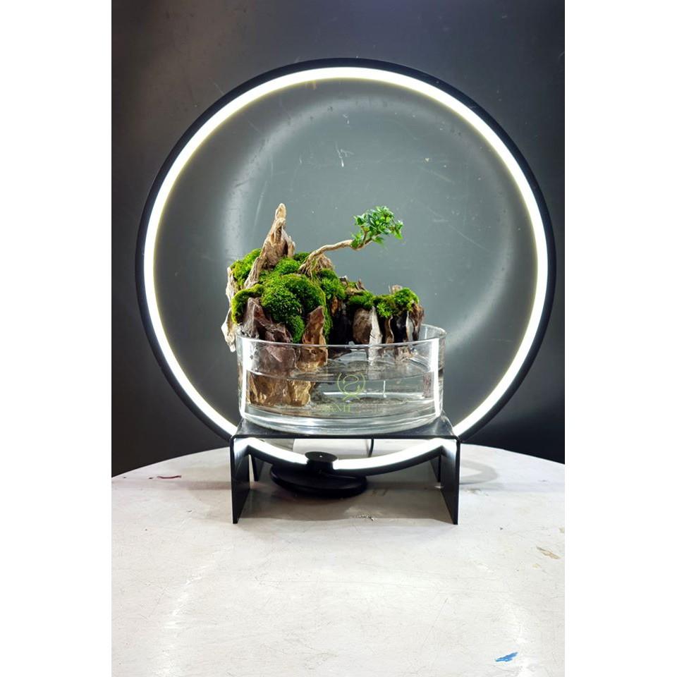 ĐÈN LED VÒNG TRÒN THỦY SINH - ĐÈN LED BỂ CÁ SIÊU ĐẸP