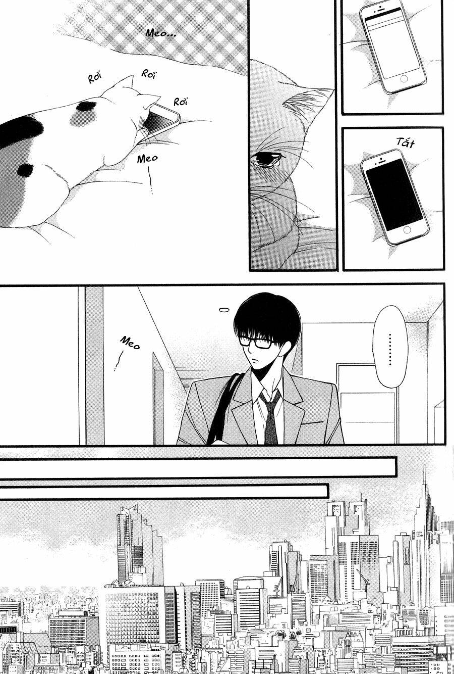 neko neko honey chapter 9 12