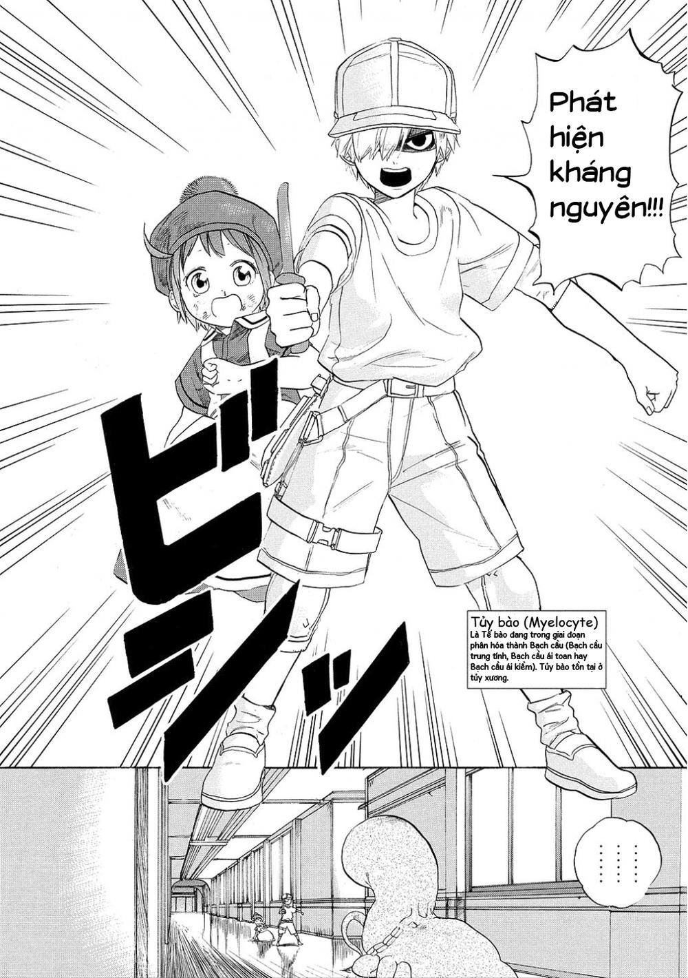 hataraku saibou! chapter 7 20