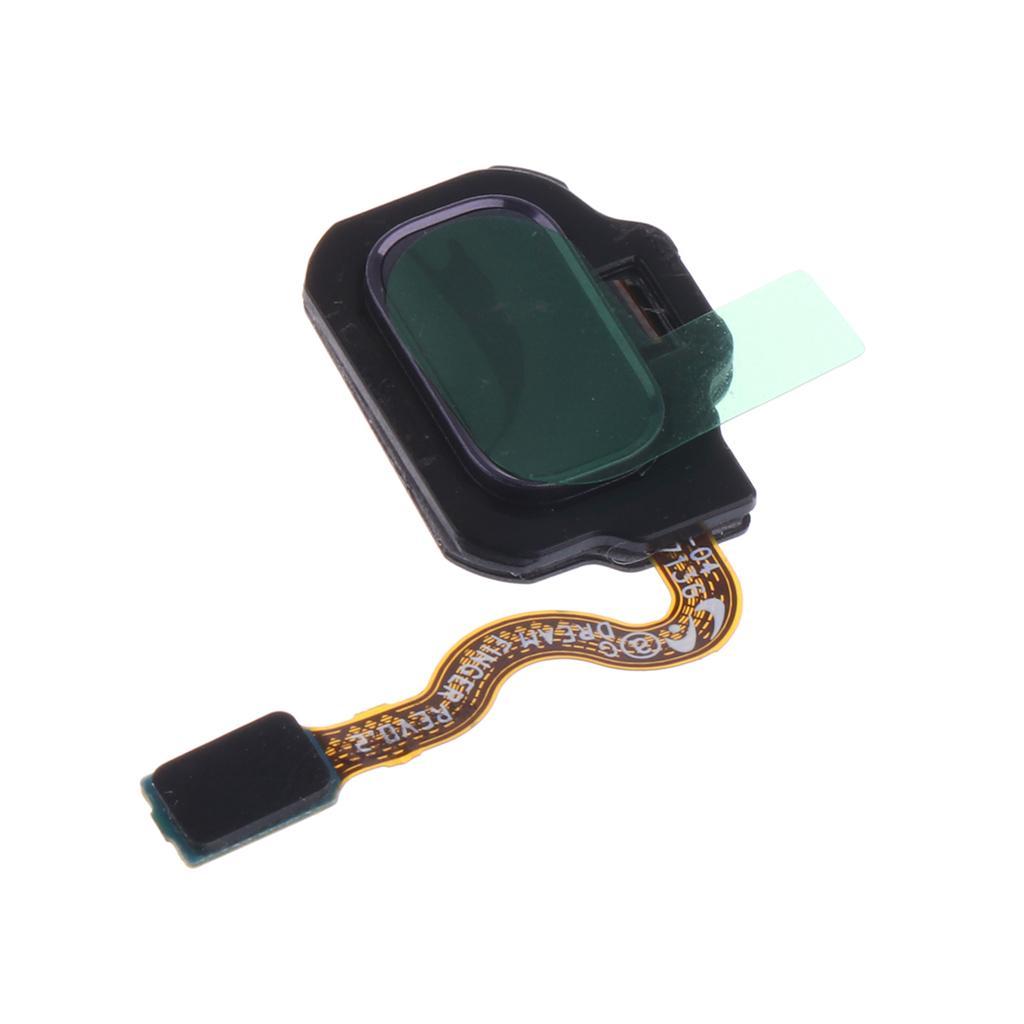 For Samsung Galaxy S8/S8+ Touch ID Sensor Home Button + Flex Cable Replacement  Purple+Gold