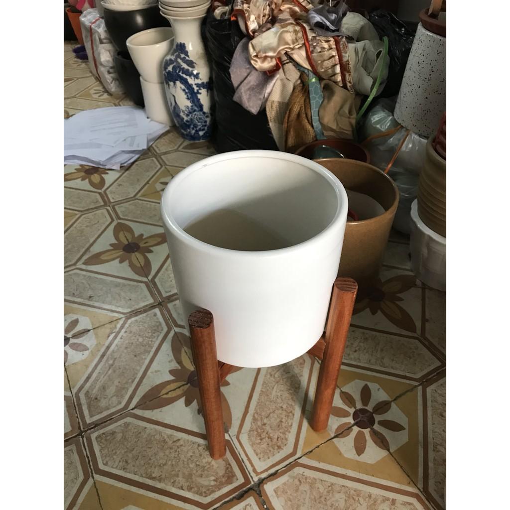 Chậu gốm sứ trồng cây kèm xốp và kệ gỗ