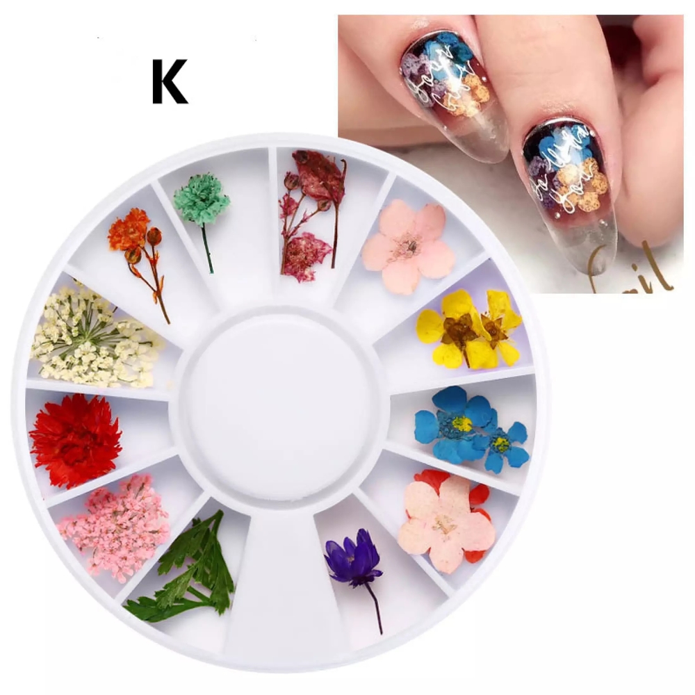 Set Hoa Khô Trang Trí Nail Hỗn Hợp Khay Tròn Đa Dạng Kiểu Dáng kích thước, Đính, Có Thể Phối Nhiều Phong Cách Ý Tưởng Khác Nhau